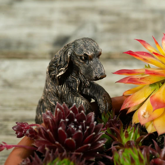 Cocker Spaniel Pot Buddy - image 2