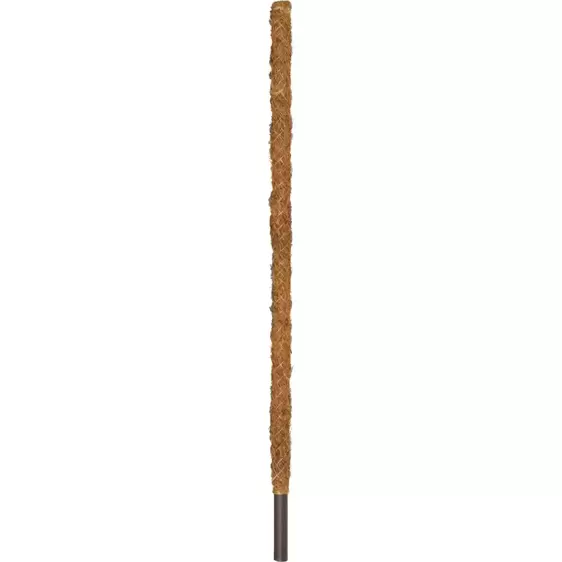 Coir Support Pole - 160cm - image 1