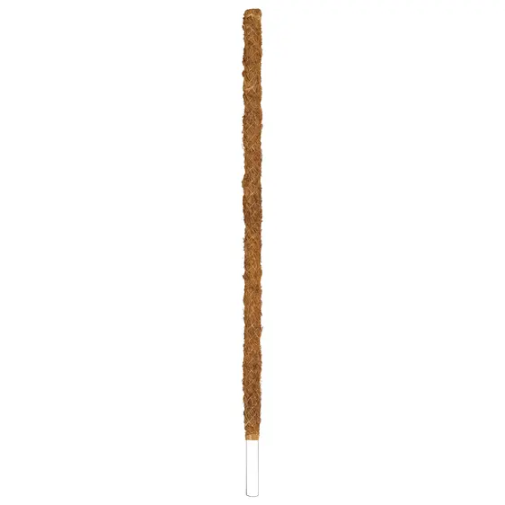 Coir Support Pole - 50cm
