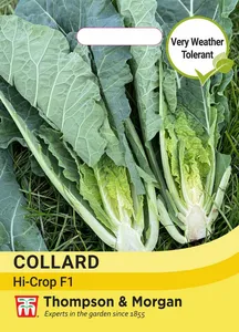 Collard Hi-Crop F1 - image 1