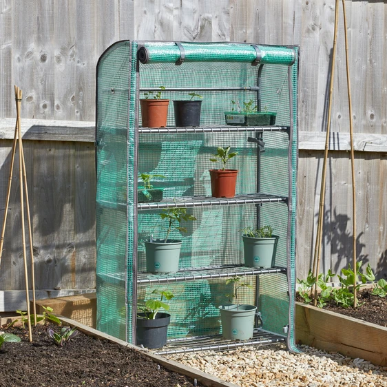 Compact 4 Tier Growhouse