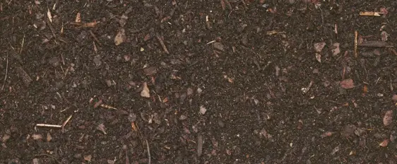 Composted Fine Bark 50L - image 2