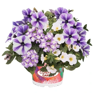 Confetti Garden™ Blue Bird