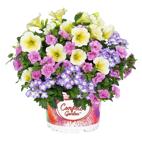 Confetti Garden™ Bunny Boo