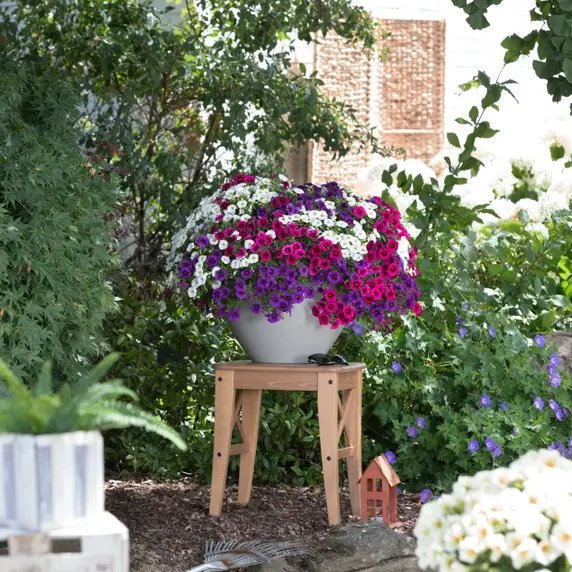 Confetti Garden™ Hawaiian Butterfly - image 2