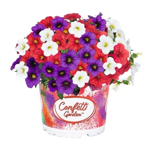 Confetti Garden Hawaiian Country