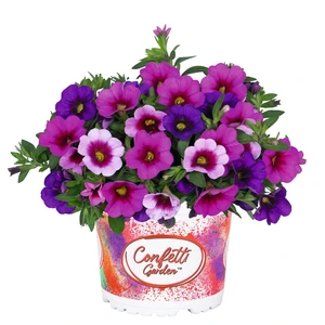 Confetti Garden™ Hawaiian Flamingo - image 1