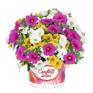 Confetti Garden™ Hawaiian Hana