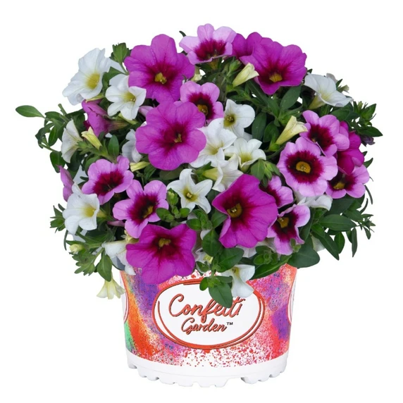Confetti Garden™ Hawaiian Pink Fusion