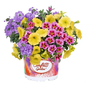 Confetti Garden™ Pacific Islands