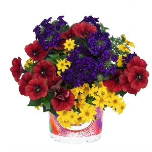 Confetti Garden™ Patchwork