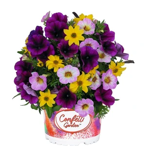 Confetti Garden™ Starlight