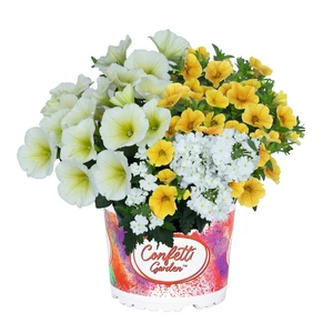 Confetti Garden Sunshine