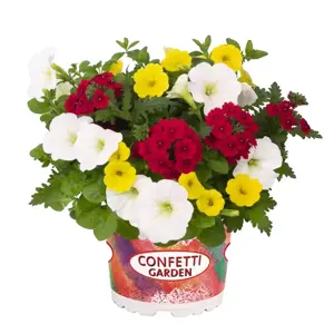 Confetti Garden™ That´s Love - image 1