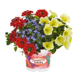 Confetti Garden™ Water Colours - image 1