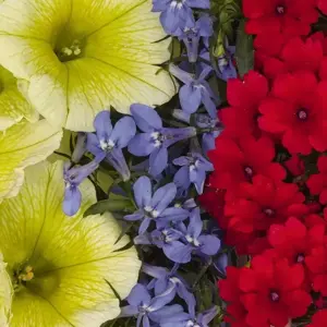 Confetti Garden™ Water Colours - image 2