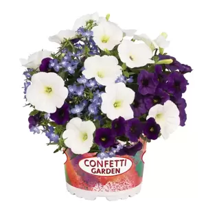 Confetti Garden™ Waterfall - image 1