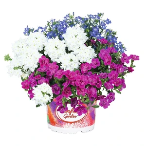 Confetti Garden™ Waterfall