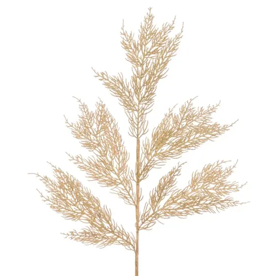 Conifer Sparkling Stem