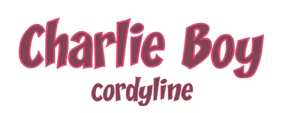 Cordyline australis 'Charlie Boy' 2L - image 5