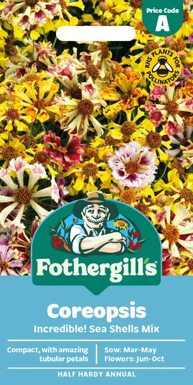 Coreopsis Incredible Sea Shells Mixed - image 1