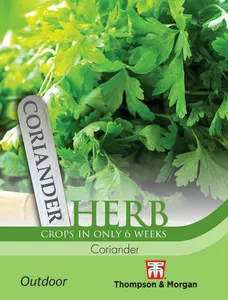 Coriander - image 1