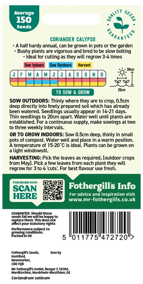 Coriander Calypso Seeds - image 2