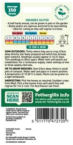 Coriander Calypso Seeds - image 2