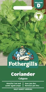 Coriander Calypso Seeds - image 1