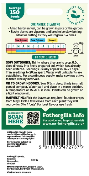 Coriander Cilantro (For Leaf) - image 2