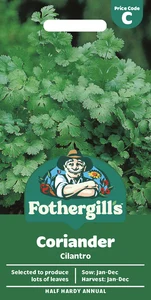 Coriander Cilantro (For Leaf) - image 1