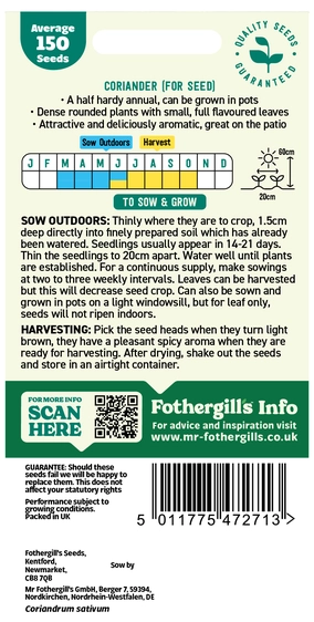 Coriander (For Seed) Seeds - image 2