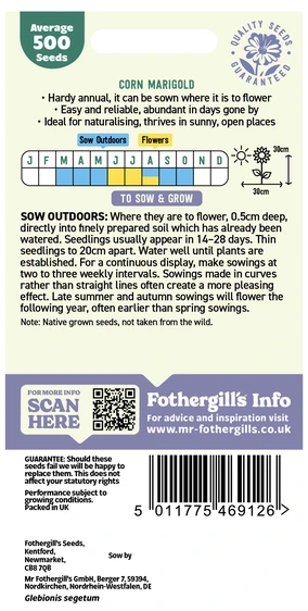 Corn Marigold - image 2