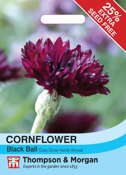 Cornflower Black Ball - image 1