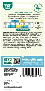 Cornflower Black Ball - image 2