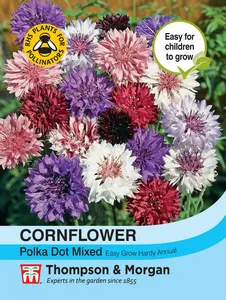 Cornflower Polka Dot Mixed - image 2