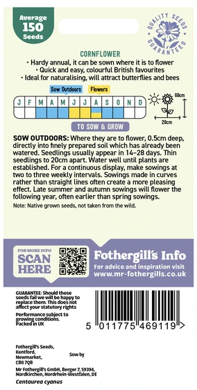 Cornflower Wildflower Seeds - image 2