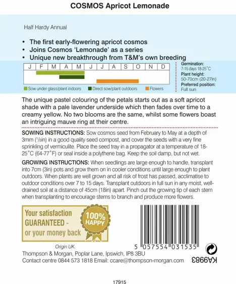 Cosmos Apricot Lemonade - image 2