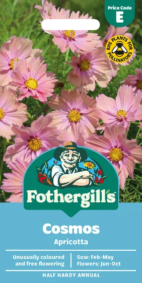 Cosmos Apricotta - image 1
