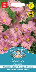 Cosmos Apricotta - image 2