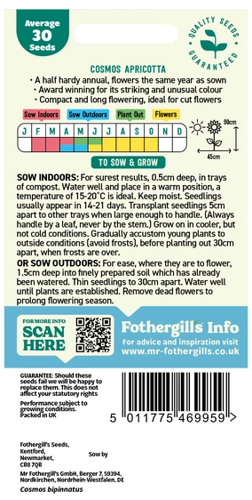 Cosmos Apricotta - image 2