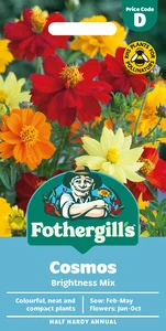 Cosmos Brightness Mixed - image 1