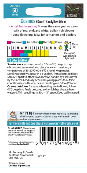 Cosmos Candyfloss Mixed - image 2