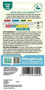 Cosmos Double Click Cranberries - image 2