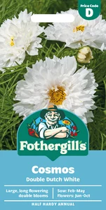 Cosmos Double Dutch White - image 1