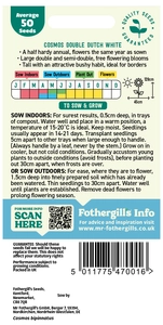 Cosmos Double Dutch White - image 2