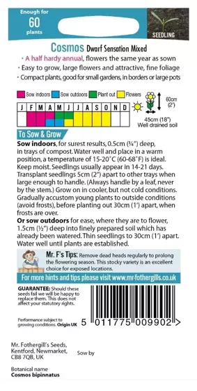 Cosmos Dwarf Sensation Mixed - image 2