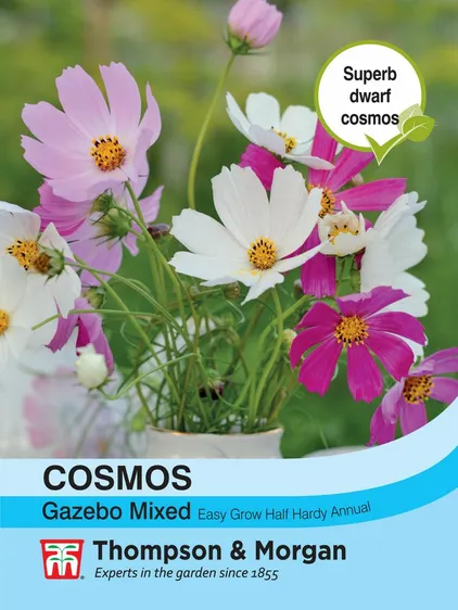 Cosmos Gazebo Mixture - image 1