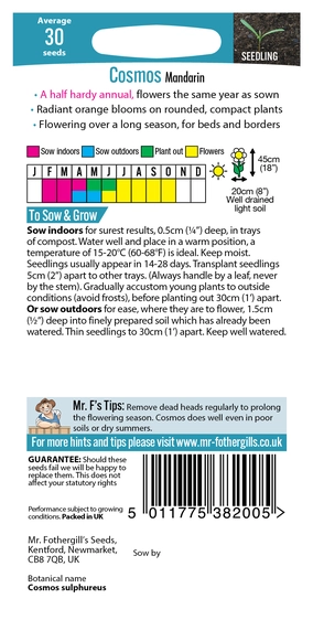 Cosmos Mandarin - image 2