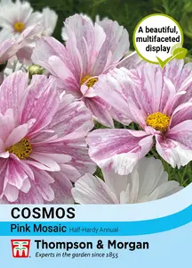 Cosmos Pink Mosaic - image 1